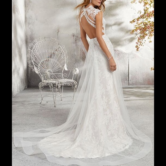 Morliee - Picture 2 of 3